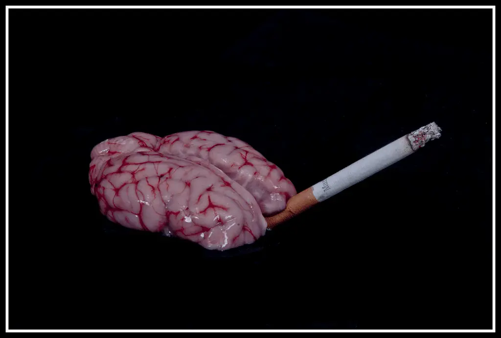 Il fumo e i danni alla corteccia prefrontale: un sabotaggio silenzioso al cervello razionale %il fumo e i danni alla corteccia prefrontale: un sabotaggio silenzioso al cervello razionalecount(title)% Il fumo e i danni alla corteccia prefrontale: un sabotaggio silenzioso al cervello razionale