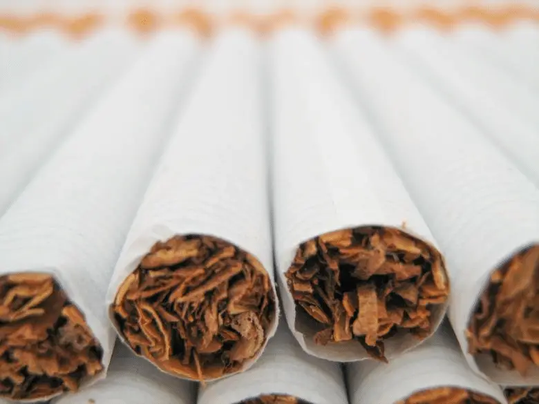 Il fumo e i danni alla corteccia prefrontale: un sabotaggio silenzioso al cervello razionale %il fumo e i danni alla corteccia prefrontale: un sabotaggio silenzioso al cervello razionalecount(title)% Il fumo e i danni alla corteccia prefrontale: un sabotaggio silenzioso al cervello razionale