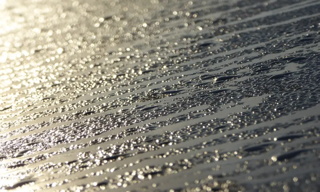 Una scoperta accidentale potrebbe rivoluzionare la raccolta d’acqua e il raffreddamento passivo %una scoperta accidentale potrebbe rivoluzionare la raccolta d’acqua e il raffreddamento passivocount(title)% Una scoperta accidentale potrebbe rivoluzionare la raccolta d’acqua e il raffreddamento passivo