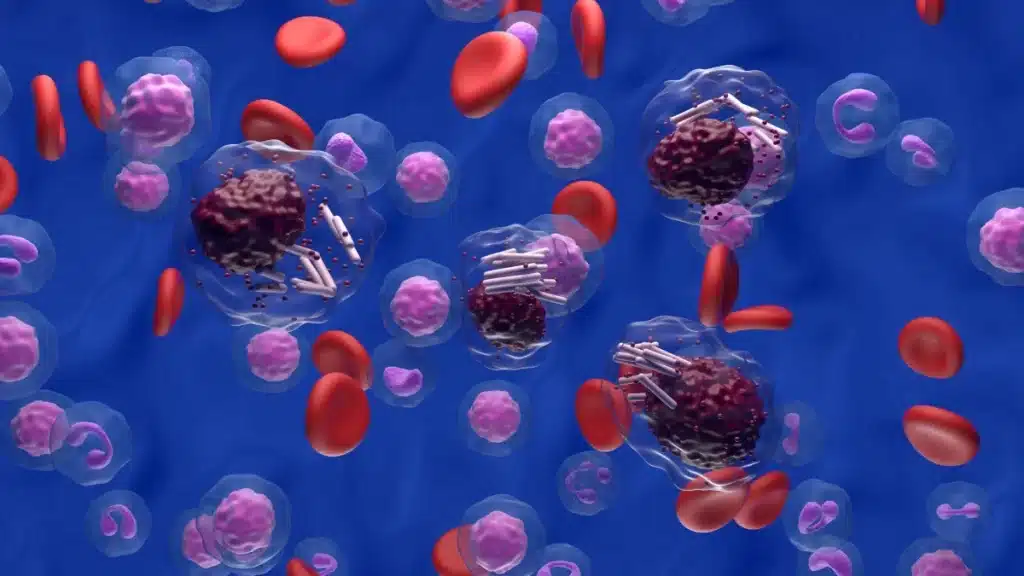 Cd200r1: arriva un nuovo promette approccio per la cura dei tumori ematologici resistenti %cd200r1: arriva un nuovo promette approccio per la cura dei tumori ematologici resistenticount(title)% Cd200r1: arriva un nuovo promette approccio per la cura dei tumori ematologici resistenti