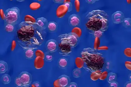 Tumore al midollo osseo: le cellule dormienti rivelano strategie anti-cancro