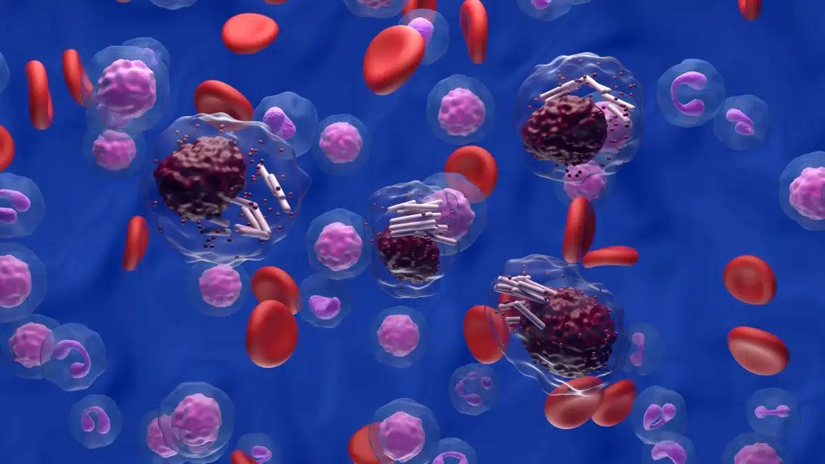 Inibitori parp e leucemie secondarie: quanto conta il carboplatino? %inibitori parp e leucemie secondarie: quanto conta il carboplatino? Count(title)% Sangue e cellule ematologiche, immagine illustrativa