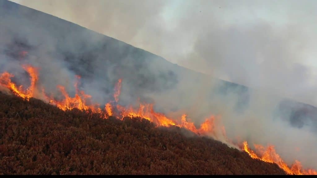 Il cambiamento climatico ha causato 15. 000 morti in più negli usa a causa del fumo da incendi, secondo uno studio %il cambiamento climatico ha causato 15. 000 morti in più negli usa a causa del fumo da incendi, secondo uno studiocount(title)% Il cambiamento climatico ha causato 15. 000 morti in più negli usa a causa del fumo da incendi, secondo uno studio