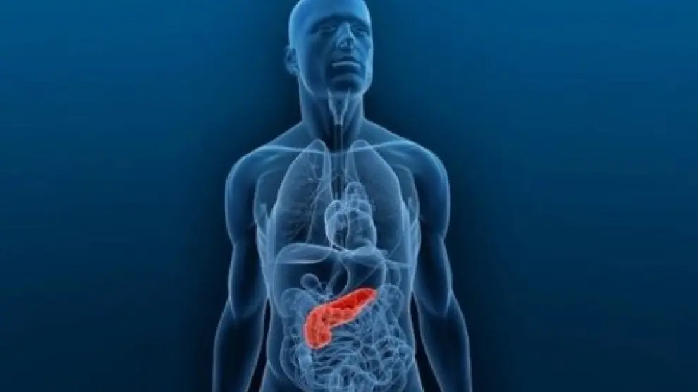 Cancro al pancreas: guida ai sintomi più subdoli, le terapie più efficaci, le cliniche più all'avanguardia %cancro al pancreas: guida ai sintomi più subdoli, le terapie più efficaci, le cliniche più all'avanguardiacount(title)% Cancro al pancreas: guida ai sintomi più subdoli, le terapie più efficaci, le cliniche più all'avanguardia