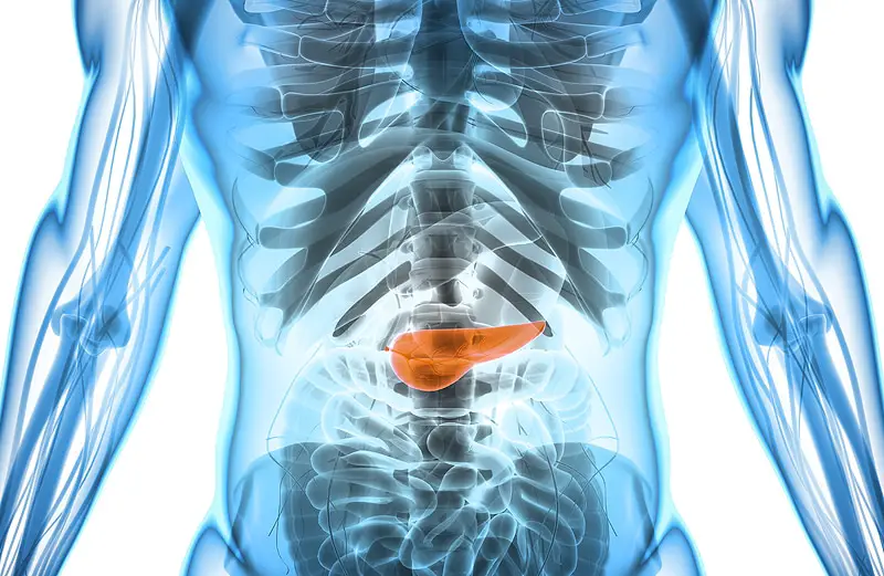 Cancro al pancreas: guida ai sintomi più subdoli, le terapie più efficaci, le cliniche più all'avanguardia %cancro al pancreas: guida ai sintomi più subdoli, le terapie più efficaci, le cliniche più all'avanguardiacount(title)% Cancro al pancreas: guida ai sintomi più subdoli, le terapie più efficaci, le cliniche più all'avanguardia