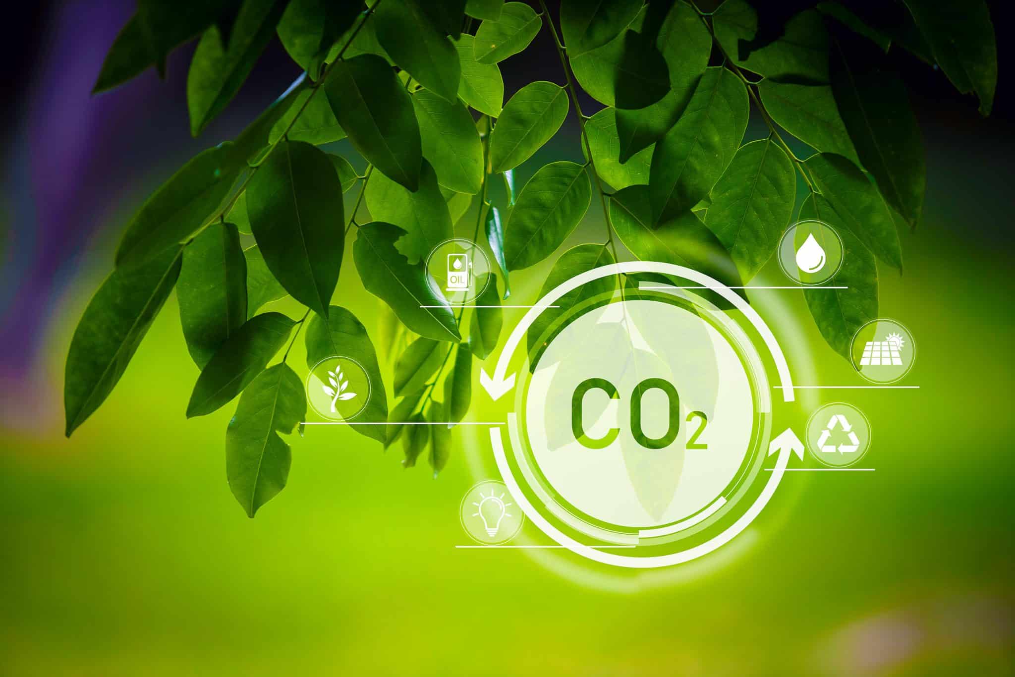 Carbonio