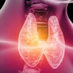Bonus tiroide 2025: arriva assegno di invalidità e accompagnamento per chi soffre di patologie tiroidee