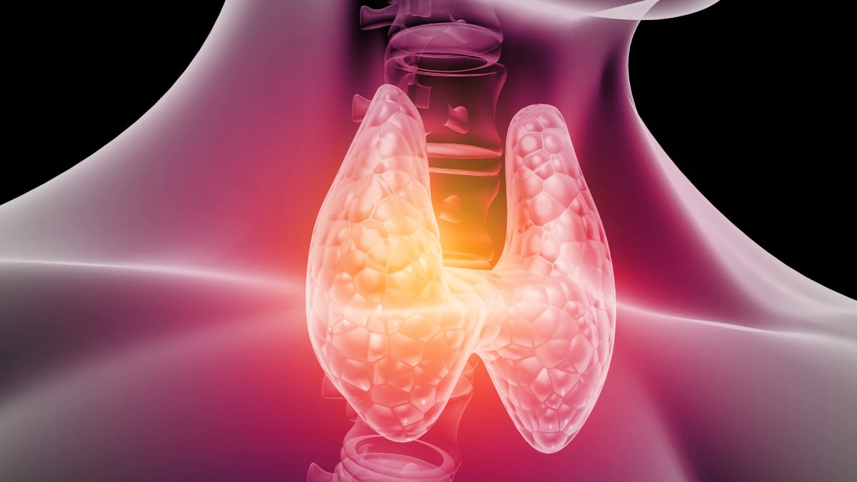 Emcitate approvato dalla fda per la carenza mct8: cosa cambia %emcitate approvato dalla fda per la carenza mct8: cosa cambiacount(title)% Anatomia della tiroide