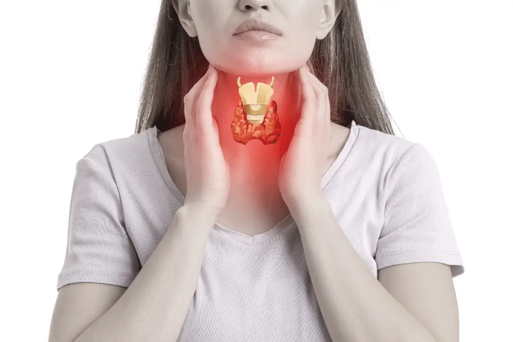 Bonus tiroide 2025: arriva assegno di invalidità e accompagnamento per chi soffre di patologie tiroidee %bonus tiroide 2025: arriva assegno di invalidità e accompagnamento per chi soffre di patologie tiroideecount(title)% Bonus tiroide 2025: arriva assegno di invalidità e accompagnamento per chi soffre di patologie tiroidee