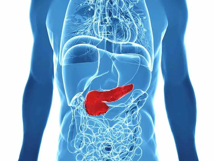Diabete di tipo 1: addio complicanze! Il pancreas artificiale e i gemelli digitali migliorano significativamente la vita %diabete di tipo 1: addio complicanze! Il pancreas artificiale e i gemelli digitali migliorano significativamente la vitacount(title)% Diabete di tipo 1: addio complicanze! Il pancreas artificiale e i gemelli digitali migliorano significativamente la vita