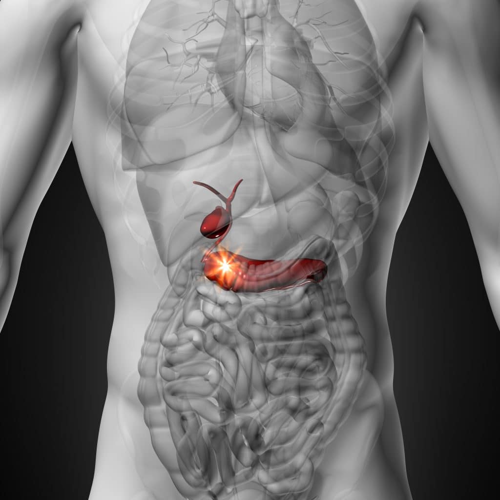 Diabete di tipo 1: addio complicanze! Il pancreas artificiale e i gemelli digitali migliorano significativamente la vita %diabete di tipo 1: addio complicanze! Il pancreas artificiale e i gemelli digitali migliorano significativamente la vitacount(title)% Diabete di tipo 1: addio complicanze! Il pancreas artificiale e i gemelli digitali migliorano significativamente la vita