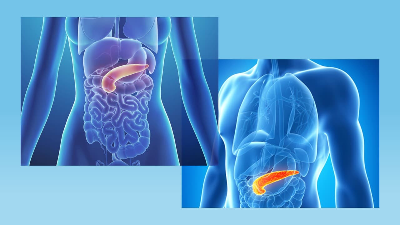 Diabete di tipo 1: addio complicanze! Il pancreas artificiale e i gemelli digitali migliorano significativamente la vita