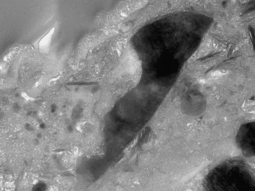 Una scoperta sorprendente da ryugu: un minerale alieno su un asteroide primitivo %una scoperta sorprendente da ryugu: un minerale alieno su un asteroide primitivocount(title)% Una scoperta sorprendente da ryugu: un minerale alieno su un asteroide primitivo