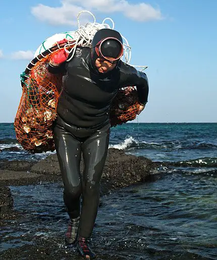 Le haenyeo di jeju hanno il superpotere nel dna: ecco cosa ci insegnano le “sirene coreane” %le haenyeo di jeju hanno il superpotere nel dna: ecco cosa ci insegnano le “sirene coreane”count(title)% Le haenyeo di jeju hanno il superpotere nel dna: ecco cosa ci insegnano le “sirene coreane”