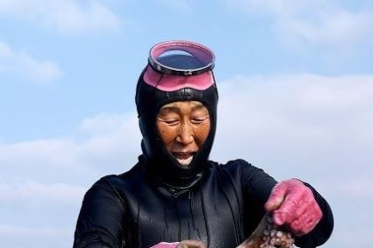 Uno studio sulle haenyeo di jeju rivela adattamenti genetici unici che potrebbero rivoluzionare la medicina. Ecco cosa ci insegnano queste leggendarie subacquee.