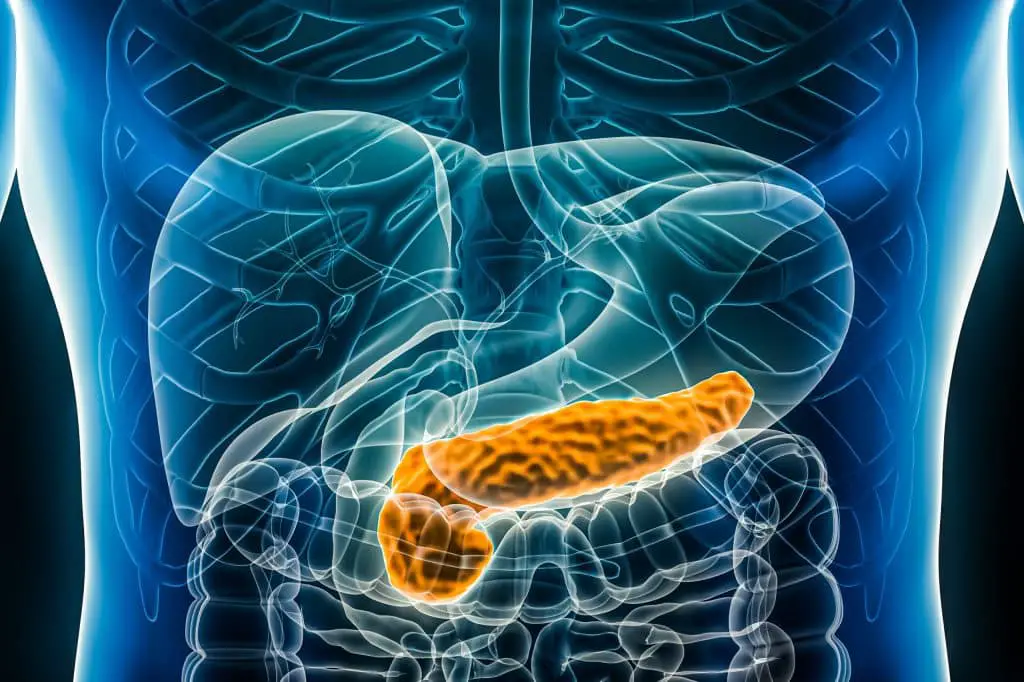 Diabete di tipo 1: addio complicanze! Il pancreas artificiale e i gemelli digitali migliorano significativamente la vita %diabete di tipo 1: addio complicanze! Il pancreas artificiale e i gemelli digitali migliorano significativamente la vitacount(title)% Diabete di tipo 1: addio complicanze! Il pancreas artificiale e i gemelli digitali migliorano significativamente la vita