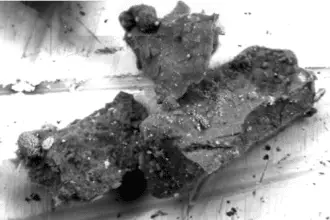 Ryugu
