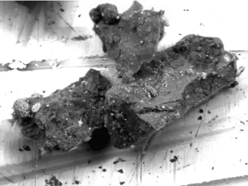 Una scoperta sorprendente da ryugu: un minerale alieno su un asteroide primitivo %una scoperta sorprendente da ryugu: un minerale alieno su un asteroide primitivocount(title)% Una scoperta sorprendente da ryugu: un minerale alieno su un asteroide primitivo