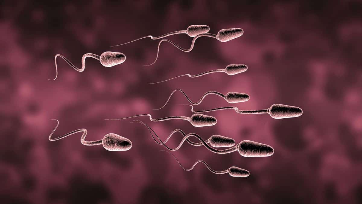 Allergia allo sperma: colpisce il 12% delle donne e può ostacolare il concepimento