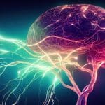 Alzheimer, la proteina sox9 aiuta il cervello a difendersi %alzheimer, la proteina sox9 aiuta il cervello a difendersicount(title)% Alzheimer, la proteina sox9 aiuta il cervello a difendersi