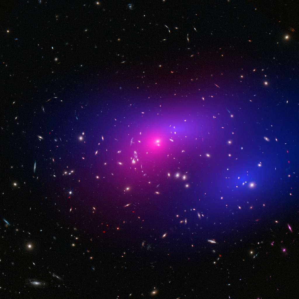 Buchi neri come laboratori cosmici: la nuova frontiera per scoprire la materia oscura? %buchi neri come laboratori cosmici: la nuova frontiera per scoprire la materia oscura? Count(title)% Buchi neri come laboratori cosmici: la nuova frontiera per scoprire la materia oscura?