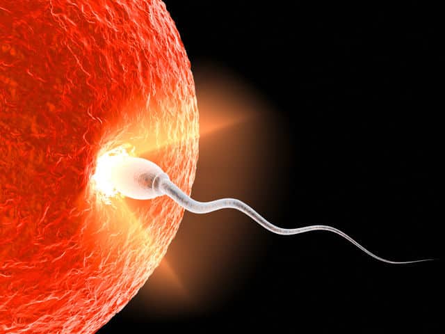 Come uno spermatozoo è riuscito ad aggirare la 3^ legge di newton %come uno spermatozoo è riuscito ad aggirare la 3^ legge di newtoncount(title)% Come uno spermatozoo è riuscito ad aggirare la 3^ legge di newton