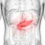 Cellule beta e invecchiamento: cosa cambia nei piccoli rna del pancreas %cellule beta e invecchiamento: cosa cambia nei piccoli rna del pancreascount(title)% Cellule beta e invecchiamento: cosa cambia nei piccoli rna del pancreas