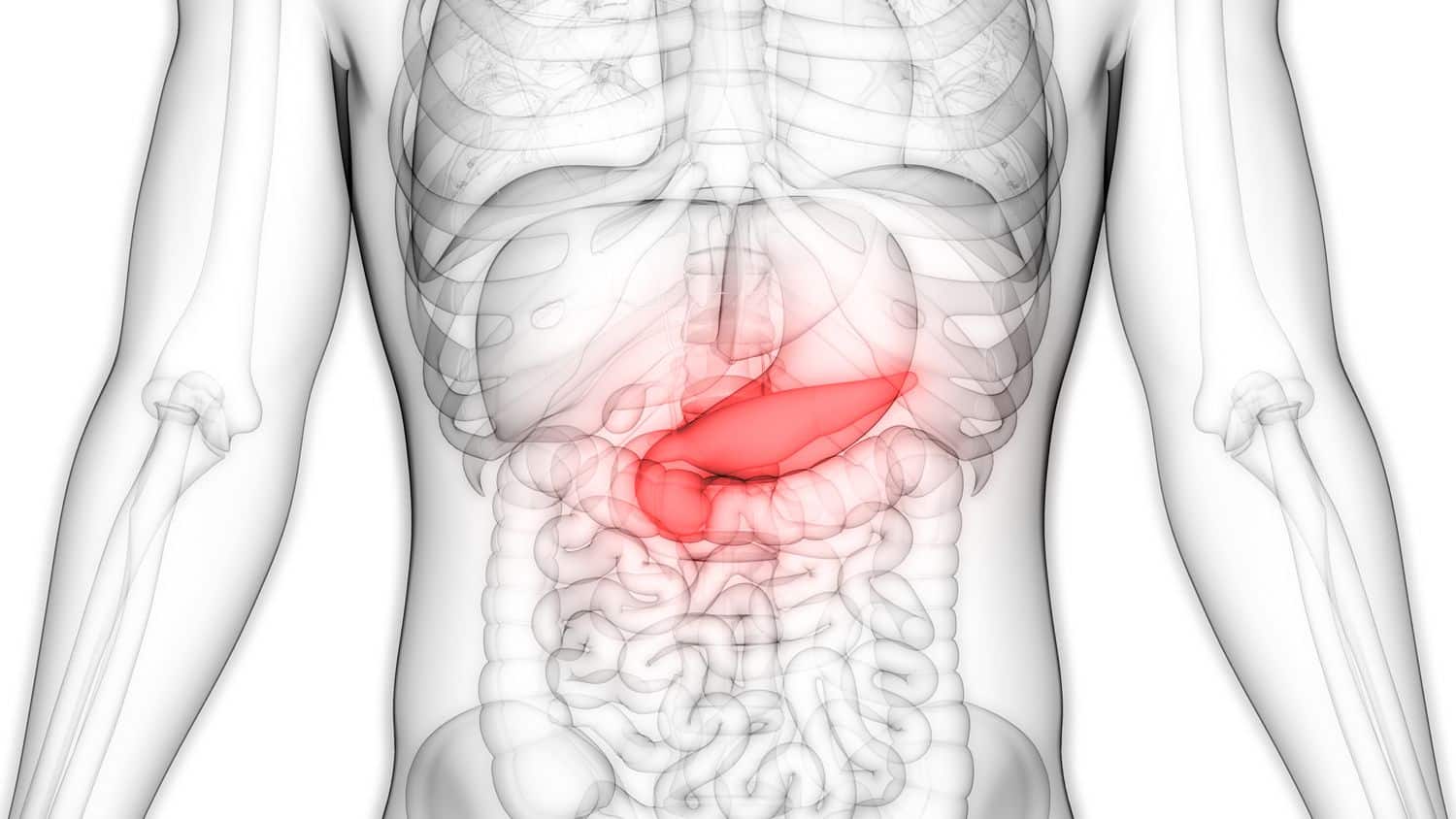 Tumore al pancreas: vcn-01 con chemio allunga la sopravvivenza? %tumore al pancreas: vcn-01 con chemio allunga la sopravvivenza? Count(title)% Anatomia del pancreas