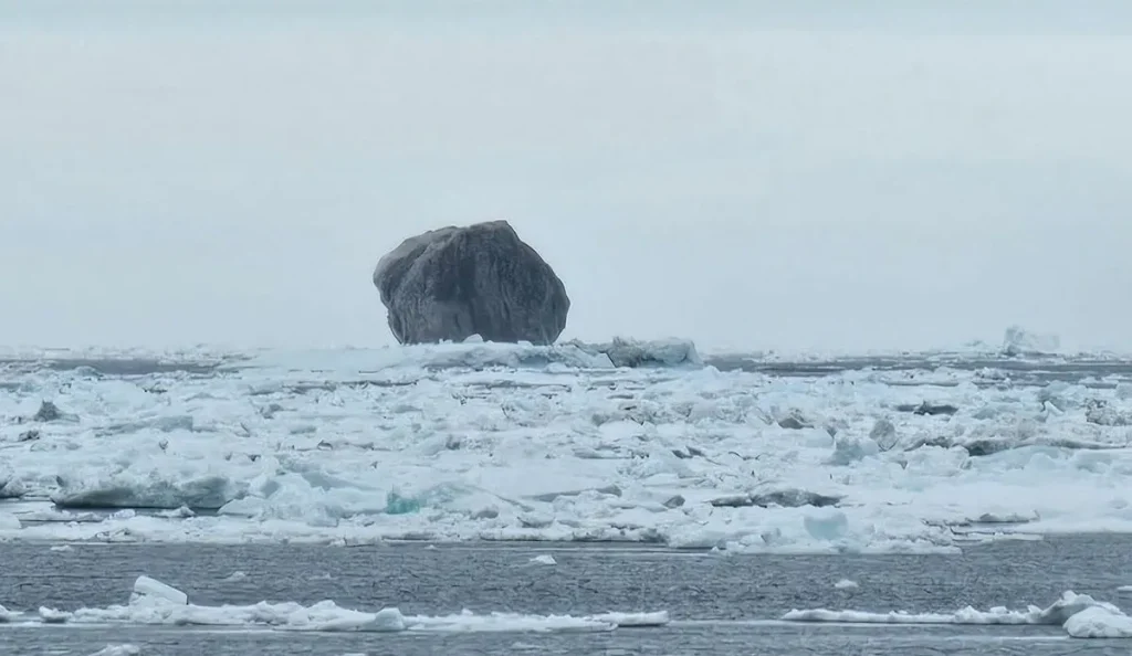 Iceberg