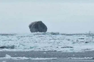 Iceberg