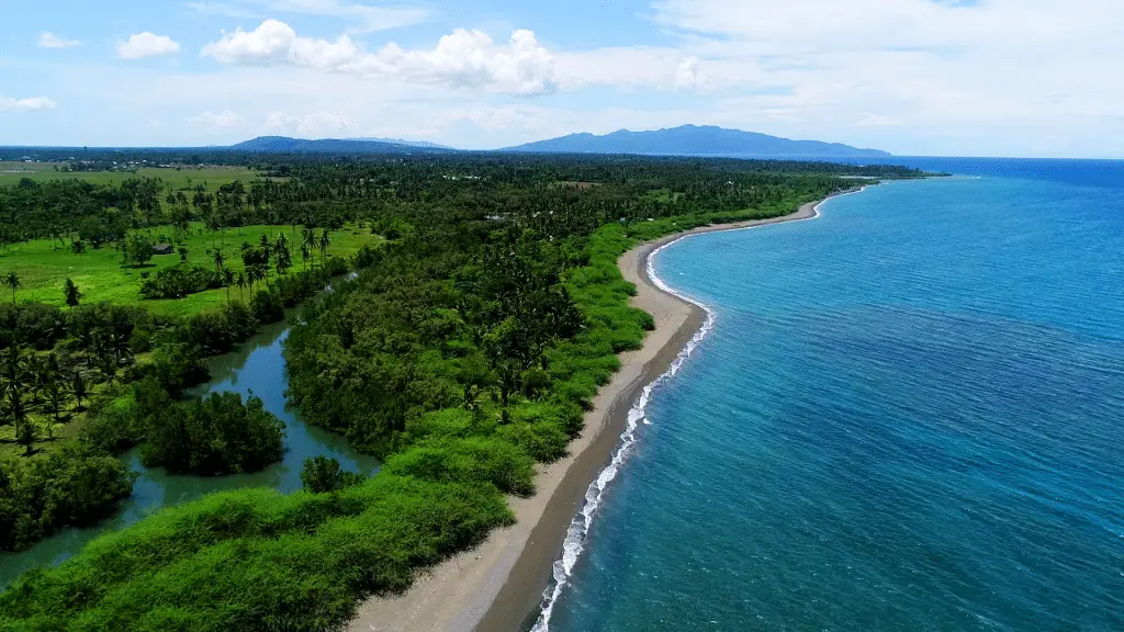 Mindoro: una cultura marittima vecchia 35. 000 anni %mindoro: una cultura marittima vecchia 35. 000 annicount(title)% Mindoro: una cultura marittima vecchia 35. 000 anni