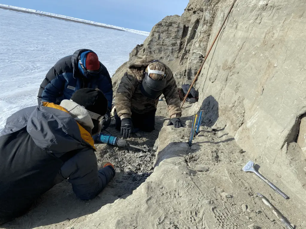73 milioni di anni fa gli uccelli nidificavano già nell’artico: ecco perché è una scoperta epocale %73 milioni di anni fa gli uccelli nidificavano già nell’artico: ecco perché è una scoperta epocalecount(title)% 73 milioni di anni fa gli uccelli nidificavano già nell’artico: ecco perché è una scoperta epocale