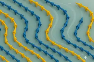 Magnetismo