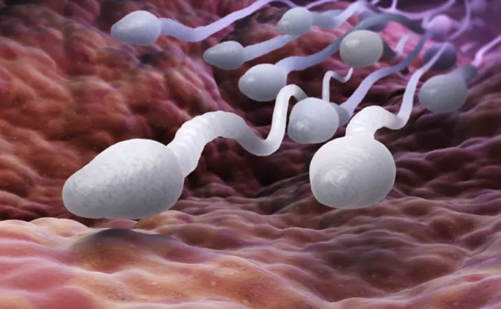 Allergia allo sperma: colpisce il 12% delle donne e può ostacolare il concepimento %allergia allo sperma: colpisce il 12% delle donne e può ostacolare il concepimentocount(title)% Allergia allo sperma: colpisce il 12% delle donne e può ostacolare il concepimento
