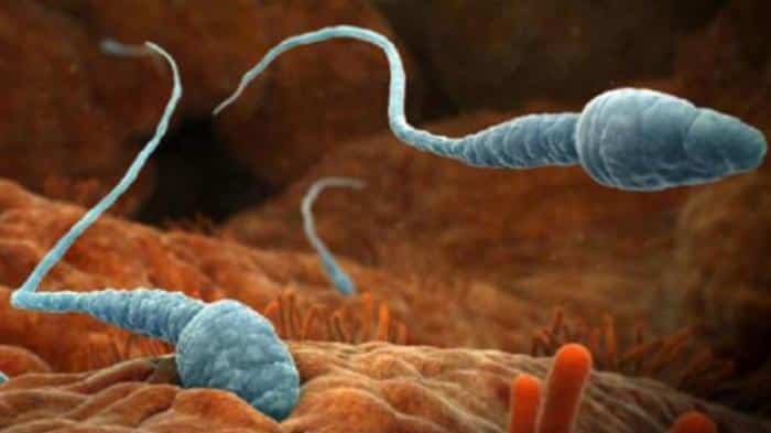 Allergia allo sperma: colpisce il 12% delle donne e può ostacolare il concepimento %allergia allo sperma: colpisce il 12% delle donne e può ostacolare il concepimentocount(title)% Allergia allo sperma: colpisce il 12% delle donne e può ostacolare il concepimento