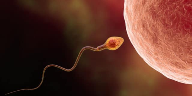Come uno spermatozoo è riuscito ad aggirare la 3^ legge di newton %come uno spermatozoo è riuscito ad aggirare la 3^ legge di newtoncount(title)% Come uno spermatozoo è riuscito ad aggirare la 3^ legge di newton