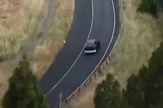 Tesla economica