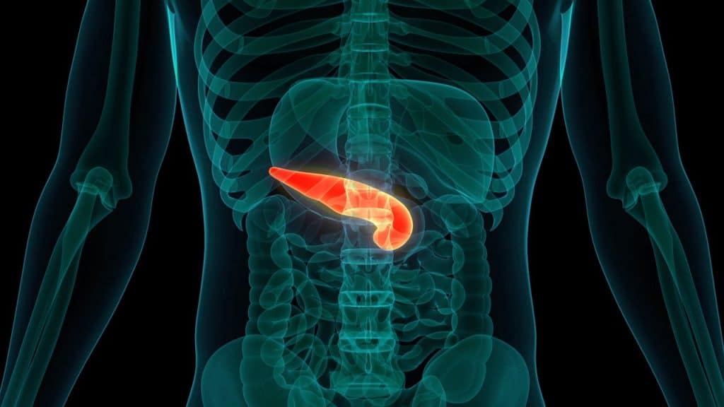 Diabete di tipo 1: addio complicanze! Il pancreas artificiale e i gemelli digitali migliorano significativamente la vita %diabete di tipo 1: addio complicanze! Il pancreas artificiale e i gemelli digitali migliorano significativamente la vitacount(title)% Diabete di tipo 1: addio complicanze! Il pancreas artificiale e i gemelli digitali migliorano significativamente la vita
