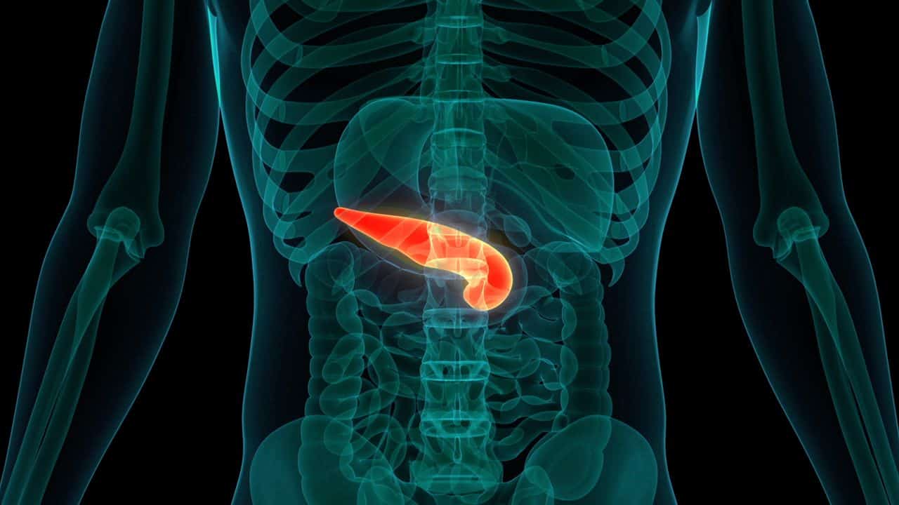 Cancro al pancreas: ecco come un nuovo studio lo ha reso vulnerabile