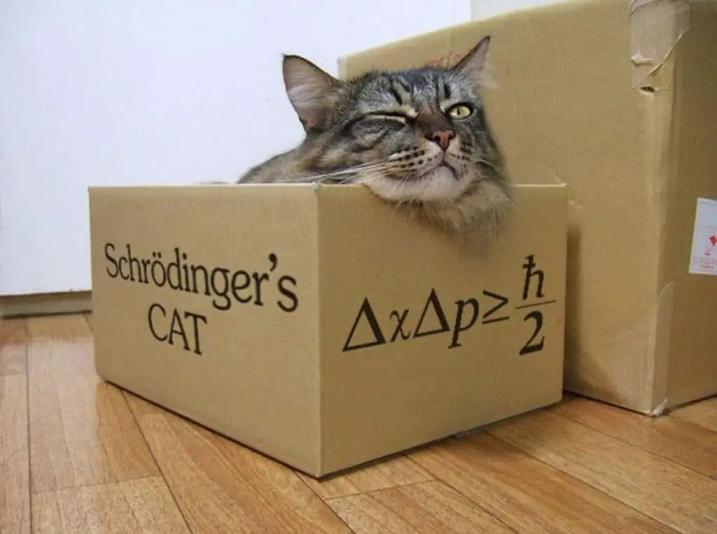 Gatto di schrödinger: e se l'universo avesse già risolto il paradosso per noi? %gatto di schrödinger: e se l'universo avesse già risolto il paradosso per noi? Count(title)% Gatto di schrödinger: e se l'universo avesse già risolto il paradosso per noi?