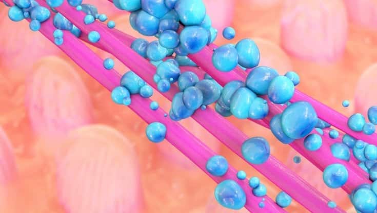 Disbiosi intestinale: guida ai sintomi più subdoli, alle strategie per la remissione, alle terapie più efficaci %disbiosi intestinale: guida ai sintomi più subdoli, alle strategie per la remissione, alle terapie più efficacicount(title)% Disbiosi intestinale: guida ai sintomi più subdoli, alle strategie per la remissione, alle terapie più efficaci