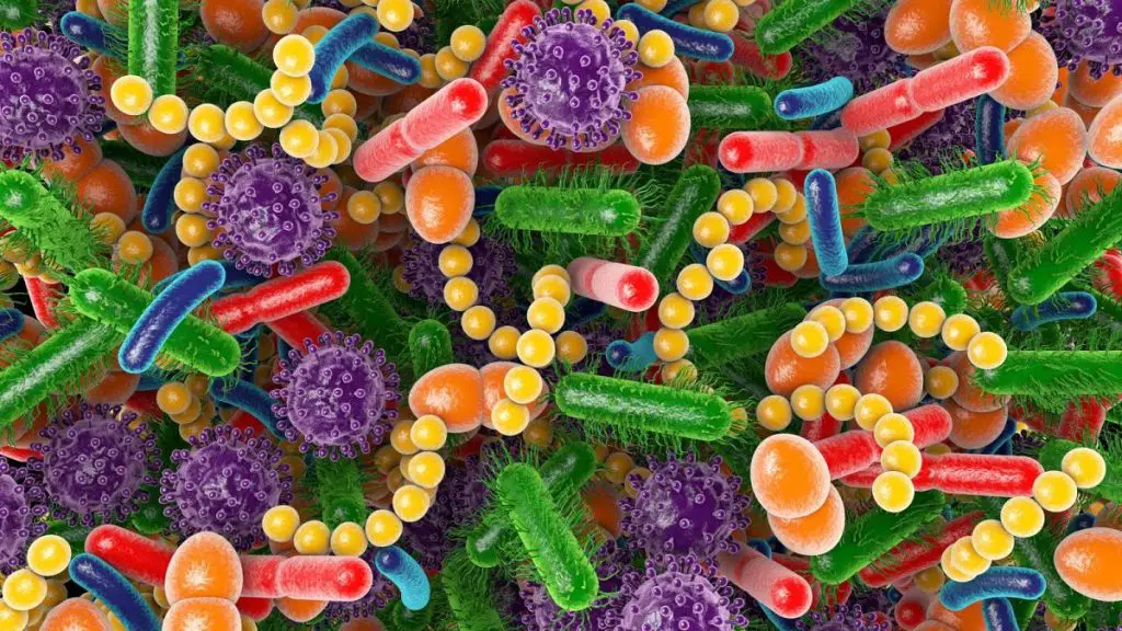 Disbiosi intestinale: guida ai sintomi più subdoli, alle strategie per la remissione, alle terapie più efficaci %disbiosi intestinale: guida ai sintomi più subdoli, alle strategie per la remissione, alle terapie più efficacicount(title)% Disbiosi intestinale: guida ai sintomi più subdoli, alle strategie per la remissione, alle terapie più efficaci