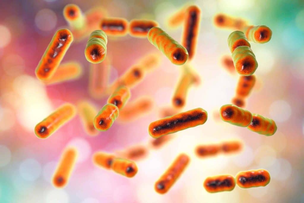 Disbiosi intestinale: guida ai sintomi più subdoli, alle strategie per la remissione, alle terapie più efficaci %disbiosi intestinale: guida ai sintomi più subdoli, alle strategie per la remissione, alle terapie più efficacicount(title)% Disbiosi intestinale: guida ai sintomi più subdoli, alle strategie per la remissione, alle terapie più efficaci