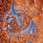 Tmem263: come nascono le goccioline lipidiche nelle cellule %tmem263: come nascono le goccioline lipidiche nelle cellulecount(title)% Tmem263: come nascono le goccioline lipidiche nelle cellule