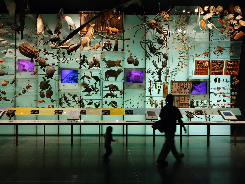 L'occhio (e l'orecchio) umano riconosce la biodiversità: lo dice la scienza %l'occhio (e l'orecchio) umano riconosce la biodiversità: lo dice la scienzacount(title)% L'occhio (e l'orecchio) umano riconosce la biodiversità: lo dice la scienza
