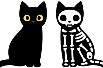 Gatto di schrödinger: e se l'universo avesse già risolto il paradosso per noi?