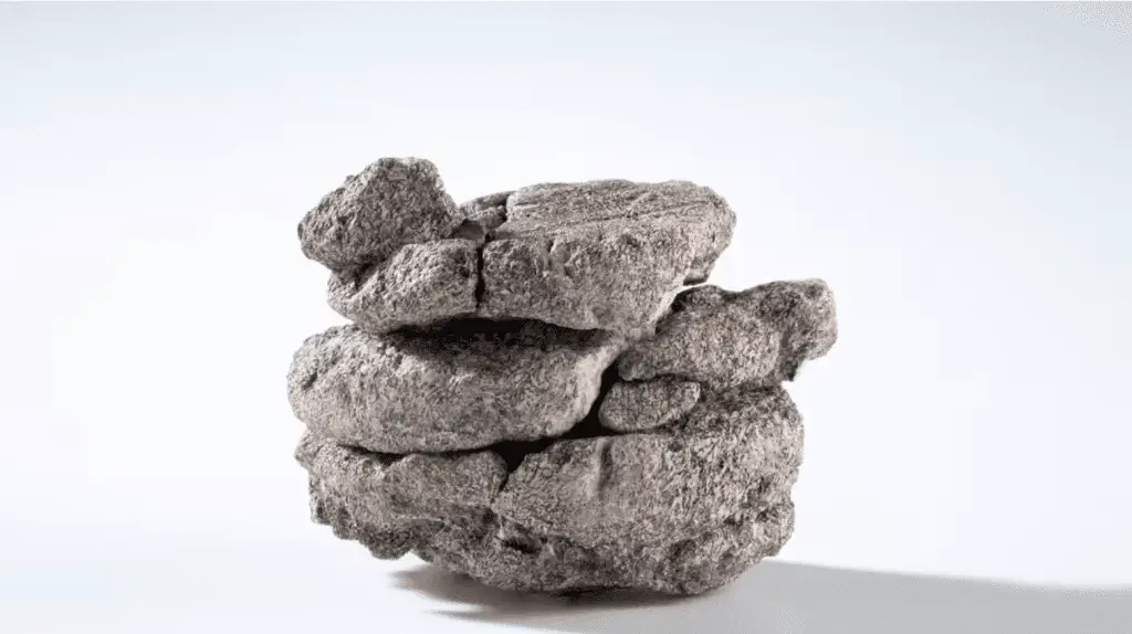 Denver, parcheggio con sorpresa: trovata una vertebra di dinosauro a 230 metri di profondità %denver, parcheggio con sorpresa: trovata una vertebra di dinosauro a 230 metri di profonditàcount(title)% Denver