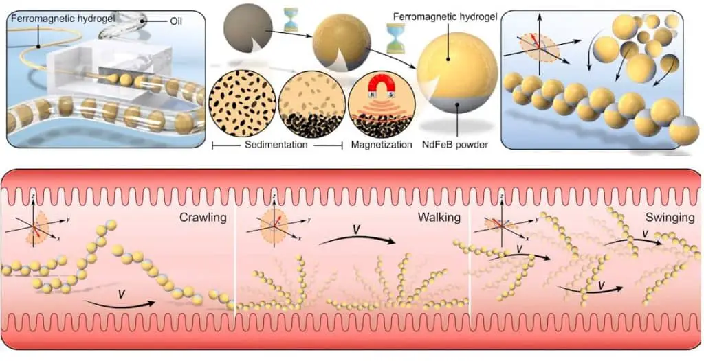 Microrobot magnetici per il rilascio di farmaci: il futuro della medicina è minuscolo e pilotabile %microrobot magnetici per il rilascio di farmaci: il futuro della medicina è minuscolo e pilotabilecount(title)% Microrobot magnetici per il rilascio di farmaci: il futuro della medicina è minuscolo e pilotabile
