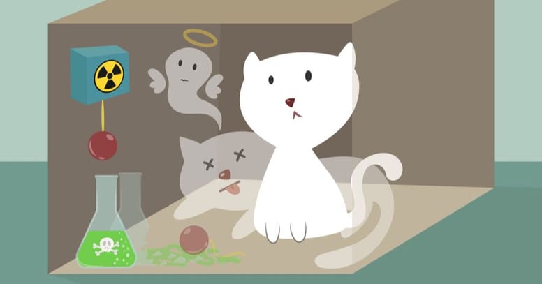 Gatto di schrödinger: e se l'universo avesse già risolto il paradosso per noi? %gatto di schrödinger: e se l'universo avesse già risolto il paradosso per noi? Count(title)% Gatto di schrödinger: e se l'universo avesse già risolto il paradosso per noi?