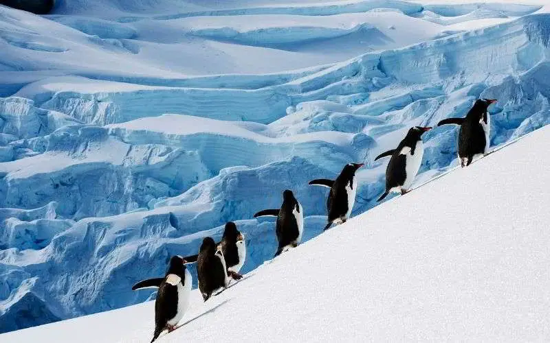 Antartide orientale: scoperti antichi paesaggi fluviali sotto i ghiacci. Potrebbero cambiare le previsioni sul futuro del clima %antartide orientale: scoperti antichi paesaggi fluviali sotto i ghiacci. Potrebbero cambiare le previsioni sul futuro del climacount(title)% Antartide orientale: scoperti antichi paesaggi fluviali sotto i ghiacci. Potrebbero cambiare le previsioni sul futuro del clima